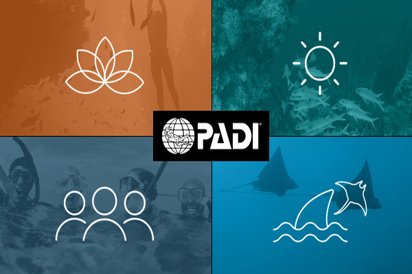 آموزش غواصی PADI