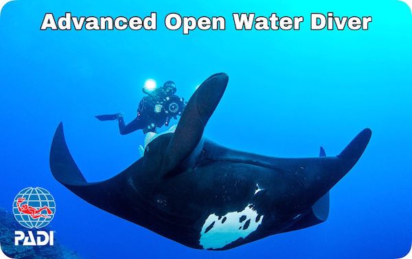 گواهینامه غواصی آبهای آزاد پدی