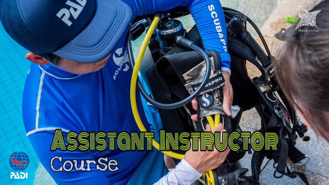 دستیار مربی