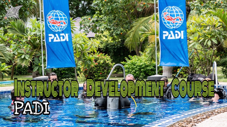 دوره مدرسی پدی - IDC