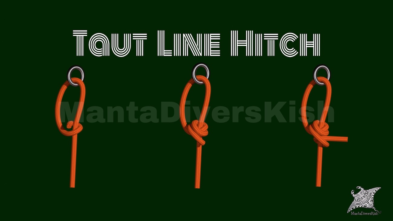 آموزش گره | Taut Line Hitch