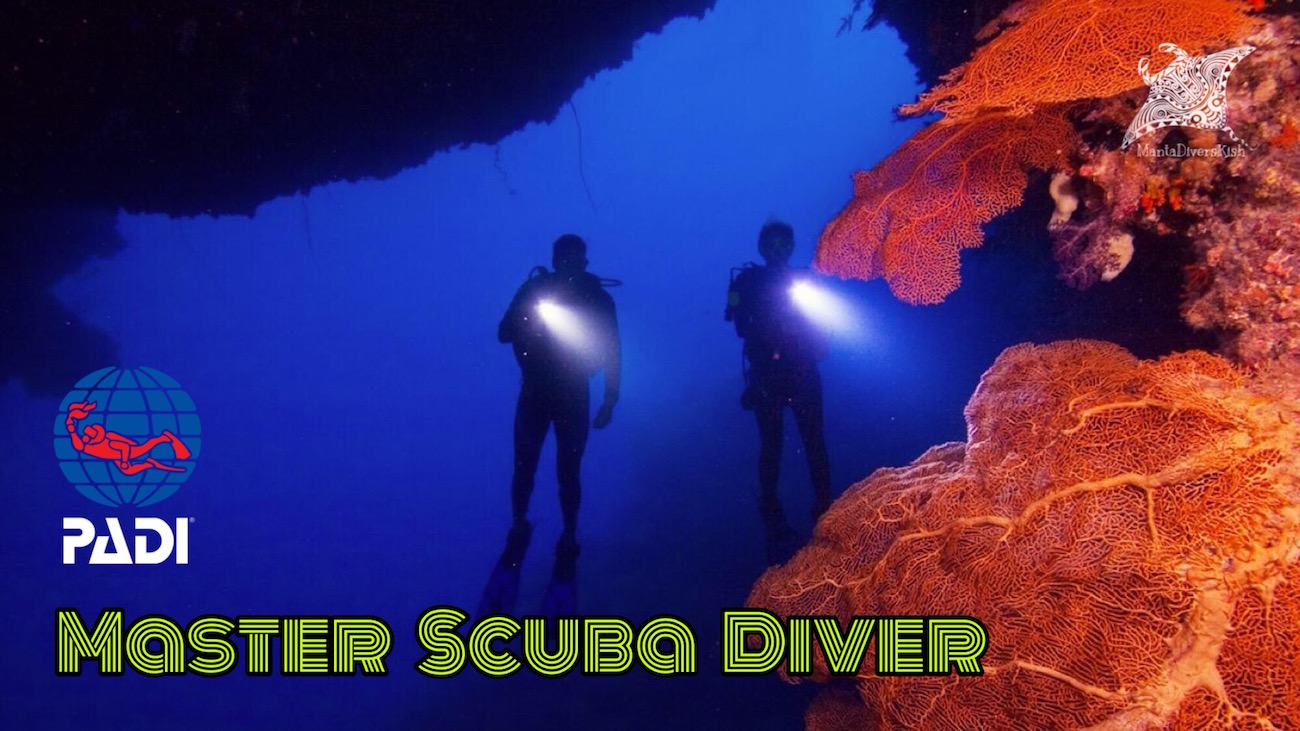 غواص با تجربه