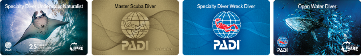 مدارک غواصی پدی