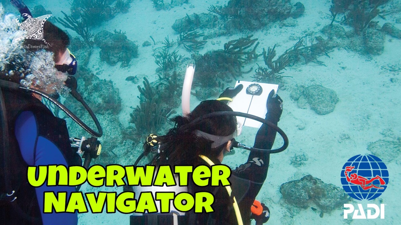 جهت یابی و ناوبری در زیر آب